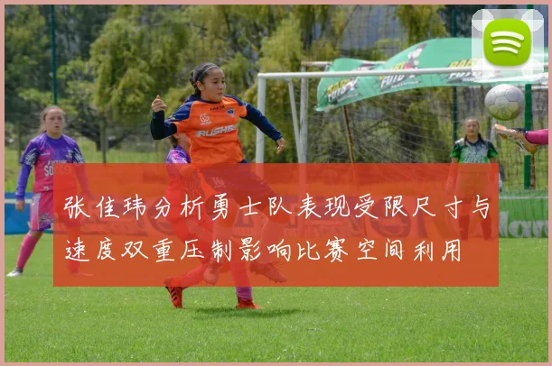 张佳玮分析勇士队表现受限尺寸与速度双重压制影响比赛空间利用